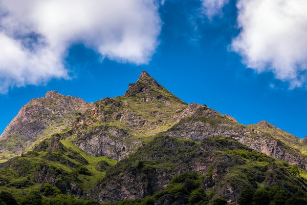 Quels hébergements en Toscane proposent des cours de cuisine italienne et des visites de vignobles bio?
